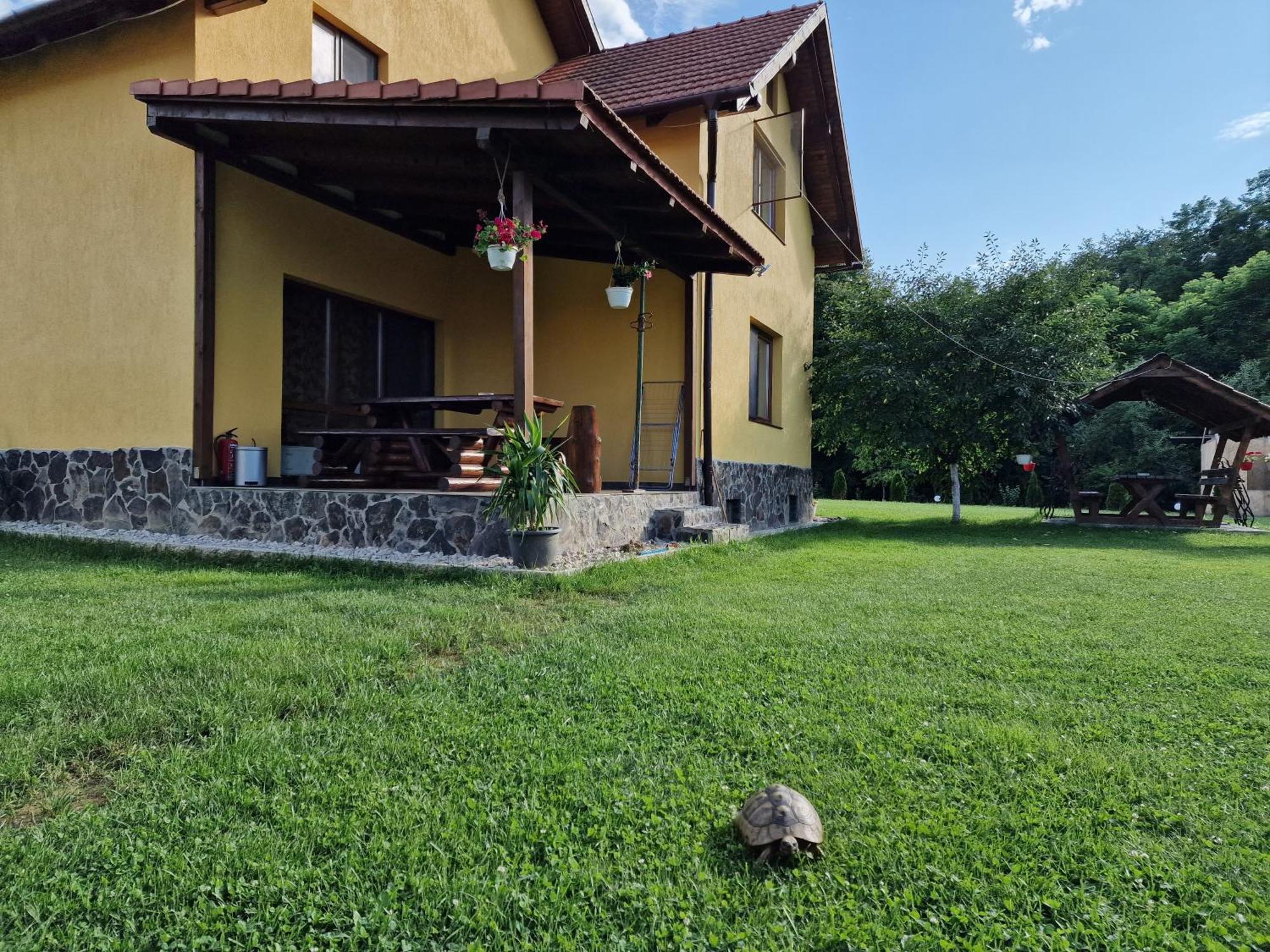 Casa Maya Săsciori Екстериор снимка